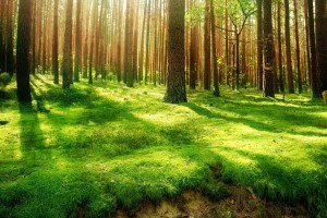 世界保龄球社区活动月成果汇编发布：转化率显著提升，世界保龄球大赛