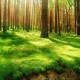 世界保龄球社区活动月成果汇编发布：转化率显著提升，世界保龄球大赛