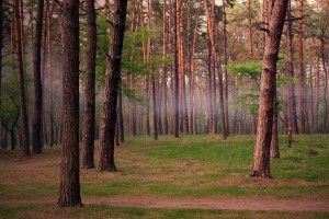 世界体能恢复科研样本库跨中心数据共享协议更新公布，世界体能比赛